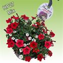 Bild von Hp27 multi mix power play new